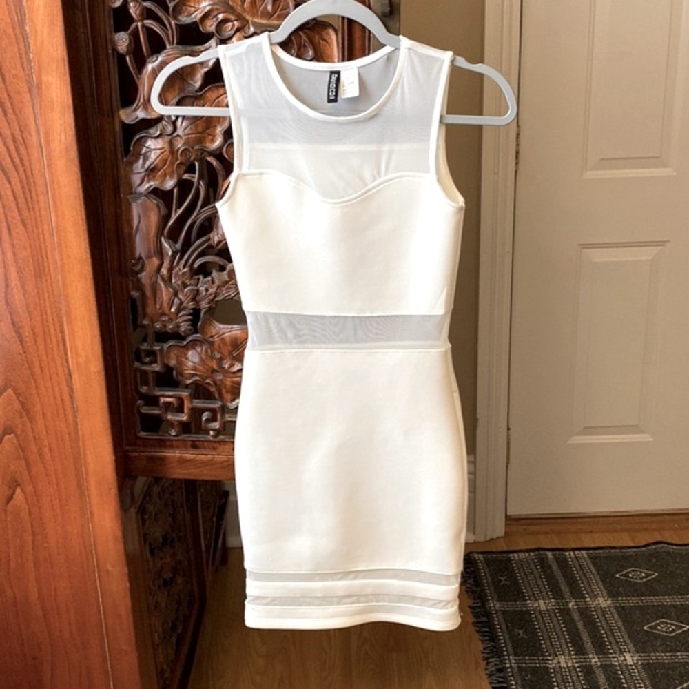 H&M Bodycon Mesh Dress